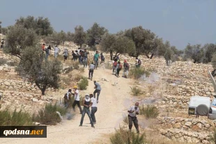 حمله صهیونیستها به تظاهرکنندگان و خبرنگاران فلسطینی