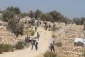 حمله صهیونیستها به تظاهرکنندگان و خبرنگاران فلسطینی