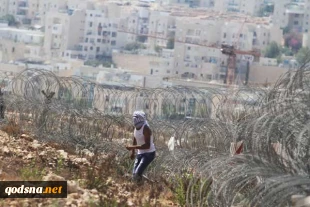 حمله صهیونیستها به تظاهرکنندگان و خبرنگاران فلسطینی