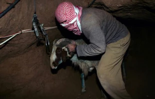 Slow death in Gaza