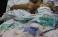 Israel hosting wounded Syrian rebels