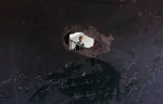 World must help Palestinian students