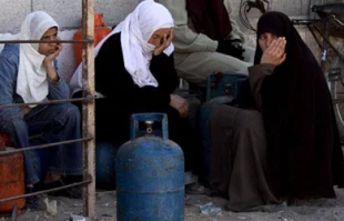 Prof. warns of paralysis of life in Gaza