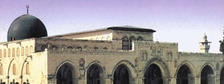 از حرف تا عمل