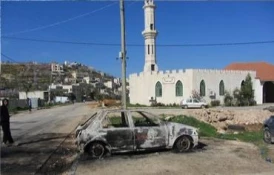 Masked settlers torch Palestinian cars