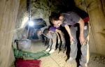 Tunnel, tramp card of Palestinian resistance