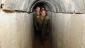 Tunnels, tramp card of resistance