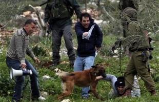 افزایش حملات فلسطینیها