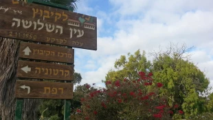 حفر تونل درعمق فلسطین اشغالی