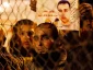 استقبال از26اسیر فلسطيني آزاد شده