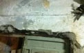 Israeli excavations near Al-Aqsa damage Palestinian homes