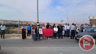4 injured in anti-Prawer protests in the Negev