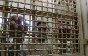 Administrative captives go on hunger strike