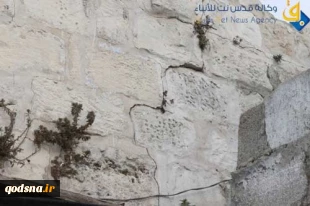 تخریب منازل فلسطینیها براثرحفاری الاقصی