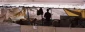 Palestinian 'bedouins' resist Israeli plans