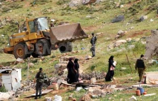 Palestinian 'bedouins' resist Israeli plans