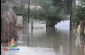 Gazans left homeless by winter storm