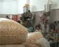 Gaza biscuit factory workers protest closure
