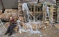 هزاران کودک اسرائیلی زیر خطر فقر