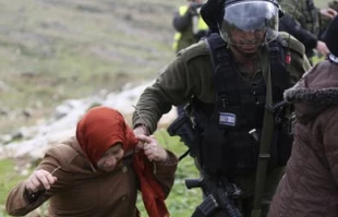 عکاس فلسطینی،برنده