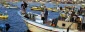 Gaza fishermen suffer 