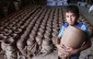 100 thousand child laborers in Palestine