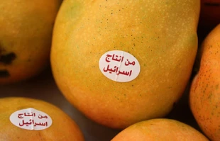 کاهش صادرات کالاهای اسراییلی به اردن