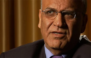Erekat: Israel is racist and should be punished