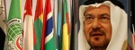 OIC primarily formed to support Palestine