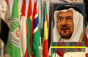 OIC primarily formed to support Palestine