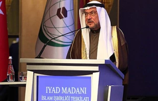 OIC primarily formed to support Palestine