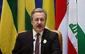 Palestine main topic on agenda of IIPU meeting