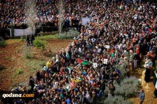 Killing of Palestinians strikes nerve online