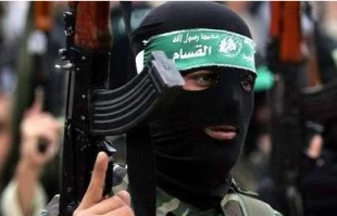 Palestinians has right to resist