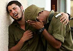 Israeli city official’s son busted over crime boss’ pot greenhouse