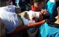 One Palestinian killed every 4 days since 2014