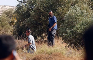 Zionist settlers uproot 5700 olive trees