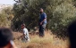 Zionist settlers uproot 5700 olive trees