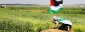 Would any land remain for Palestinians?