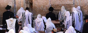 Muslims must beware against threats