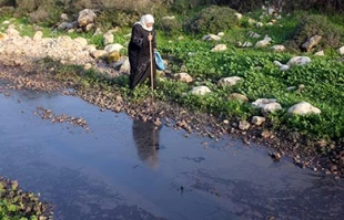 تخریب مزارع فلسطینی ها