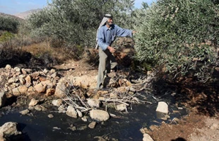 تخریب مزارع فلسطینی ها