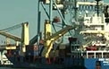 Russia sanctions could cost Israeli exporters $150m