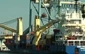 Russia sanctions could cost Israeli exporters $150m