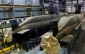 Israel tenth on list of global weapons exporters