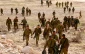 Regional drills meant to serve Israel