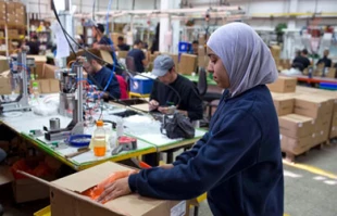 370 هزار بیکار در فلسطین