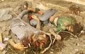 Gaza death toll hits 400