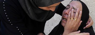Pregnant mother among over 800 killed