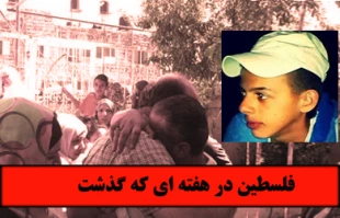فلسطین در هفته دوم تیرماه 93